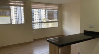 APARTAMENTO EN SECTOR LA FRANCIA